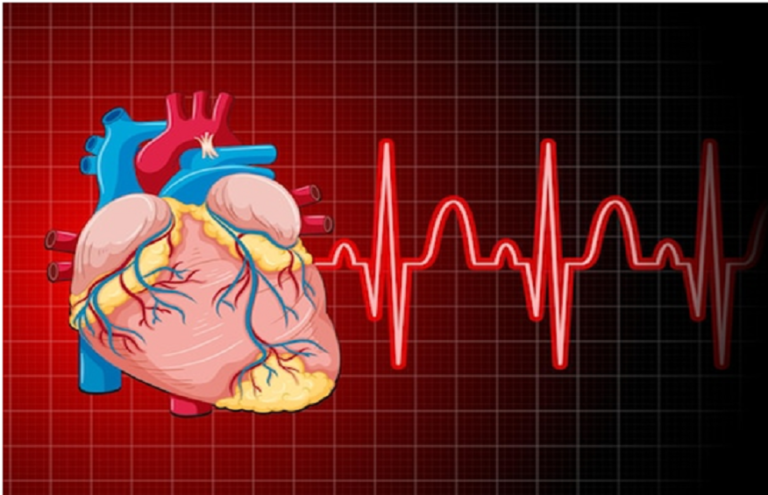 An Overview of Normal vs. Dangerous Heart Rate