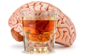 Alcohol on the Brain