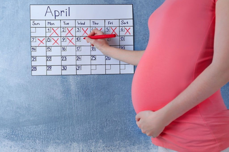 What Is a Pregnancy Week Calculator and How Does It Work?